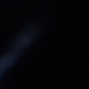 Meet your Posher, Sadie